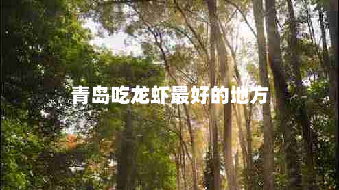 青島吃龍蝦最好的地方