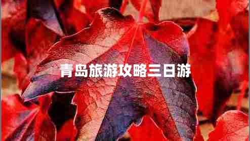 青島旅游攻略三日游