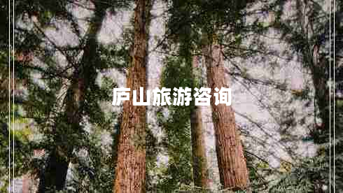 廬山旅游咨詢(xún)