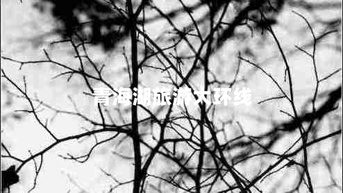 青海湖旅游大環(huán)線(xiàn) 青海湖旅游大環(huán)線(xiàn)