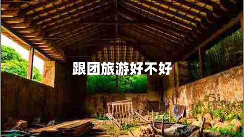 跟團旅游好不好