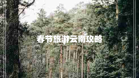 春節旅游云南攻略
