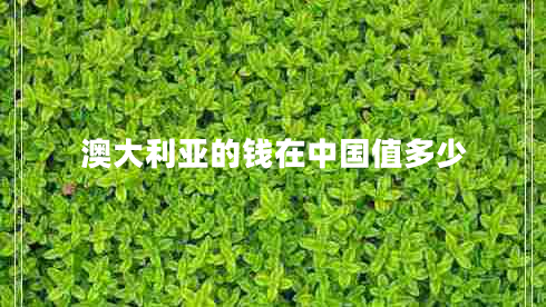 澳大利亞的錢(qián)在中國值多少