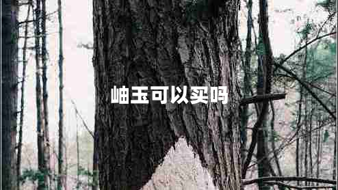 岫玉可以買(mǎi)嗎