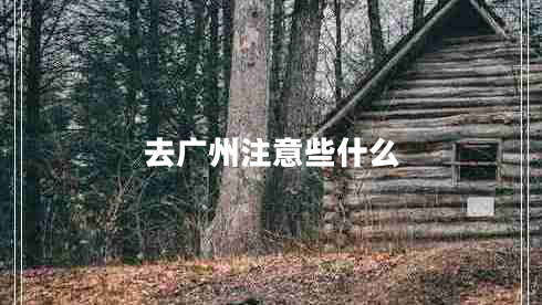 去廣州注意些什么 去廣州注意些什么