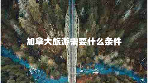 加拿大旅游需要什么條件