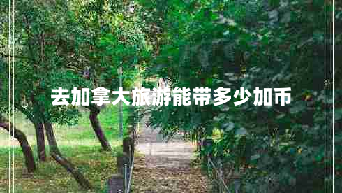 去加拿大旅游能帶多少加幣