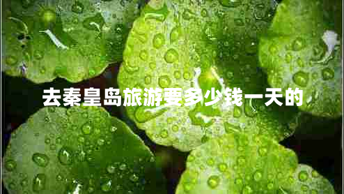 去秦皇島旅游要多少錢(qián)一天的