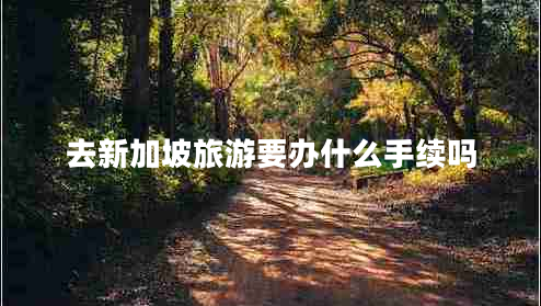 去新加坡旅游要辦什么手續嗎