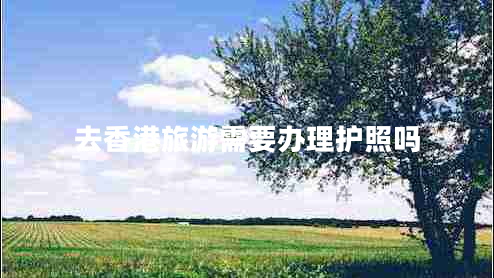 去香港旅游需要辦理護照嗎