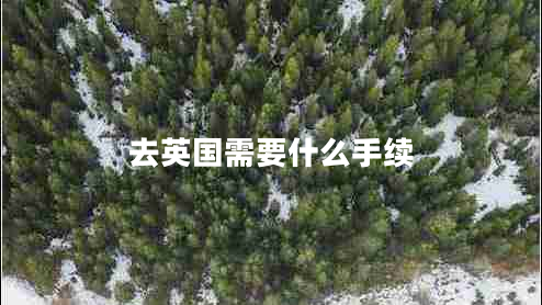 去英國需要什么手續