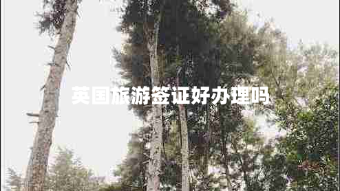 英國旅游簽證好辦理嗎 英國旅游簽證好辦理嗎