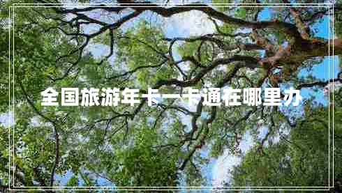 全國旅游年卡一卡通在哪里辦