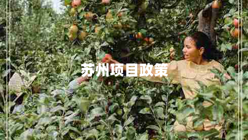 蘇州項目政策
