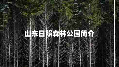 山東日照森林公園簡(jiǎn)介