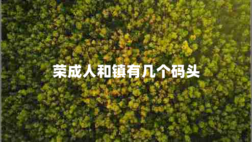 榮成人和鎮有幾個(gè)碼頭