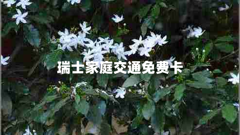 瑞士家庭交通免費卡