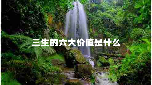 三生的六大價(jià)值是什么 三生的六大價(jià)值是什么