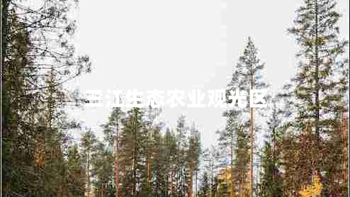 三江生態(tài)農業(yè)觀(guān)光區