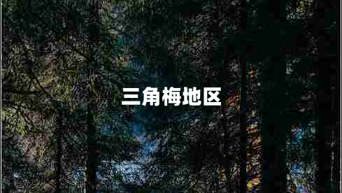 三角梅地區