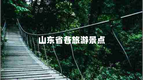 山東省各旅游景點(diǎn)