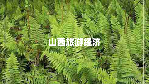 山西旅游經(jīng)濟 山西旅游經(jīng)濟