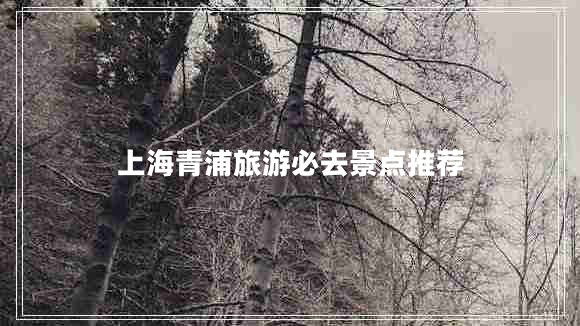 上海青浦旅游必去景點(diǎn)推薦