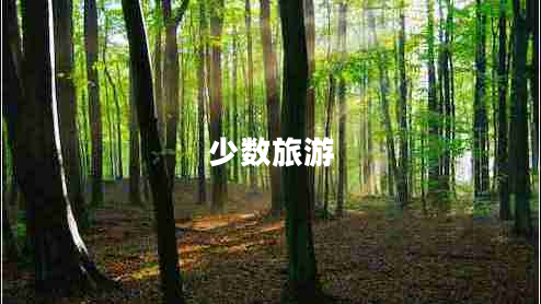 少數旅游