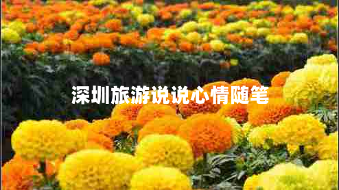 深圳旅游說(shuō)說(shuō)心情隨筆