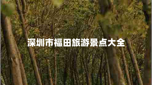 深圳市福田旅游景點(diǎn)大全