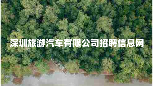 深圳旅游汽車(chē)有限公司招聘信息網(wǎng)