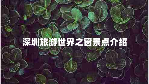 深圳旅游世界之窗景點(diǎn)介紹 深圳旅游世界之窗景點(diǎn)介紹