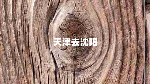 天津去沈陽(yáng)
