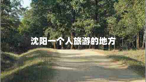 沈陽(yáng)一個(gè)人旅游的地方