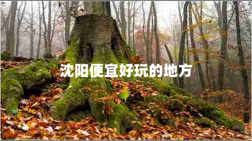 沈陽(yáng)便宜好玩的地方