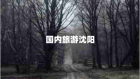 國內旅游沈陽(yáng)