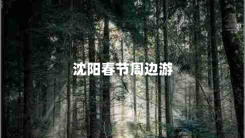 沈陽(yáng)春節周邊游 沈陽(yáng)春節周邊游