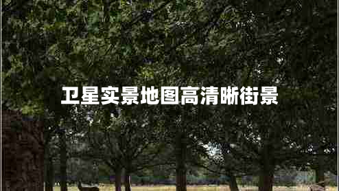 衛星實(shí)景地圖高清晰街景