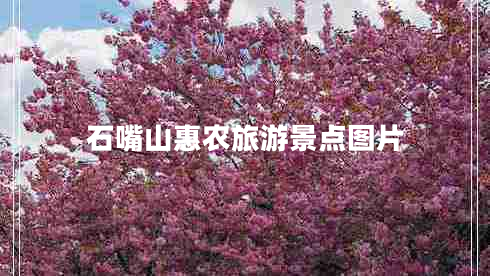 石嘴山惠農旅游景點(diǎn)圖片