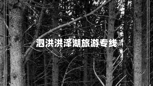 泗洪洪澤湖旅游專(zhuān)線(xiàn)