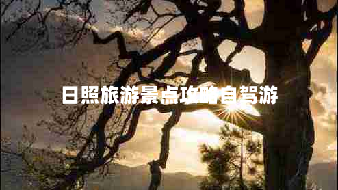 日照旅游景點(diǎn)攻略自駕游 日照旅游景點(diǎn)攻略自駕游