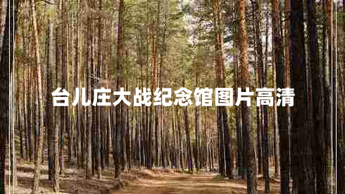 臺兒莊大戰紀念館圖片高清