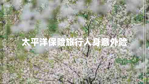 太平洋保險旅行人身意外險