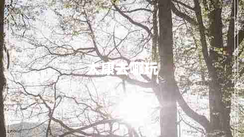 太康去哪玩 太康去哪玩