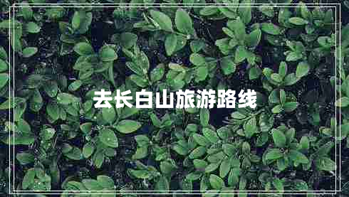 去長(cháng)白山旅游路線(xiàn) 去長(cháng)白山旅游路線(xiàn)