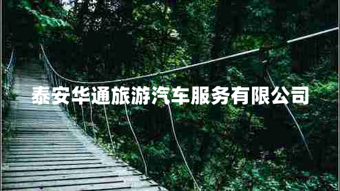 泰安華通旅游汽車(chē)服務(wù)有限公司