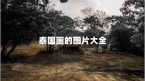 泰國畫(huà)的圖片大全