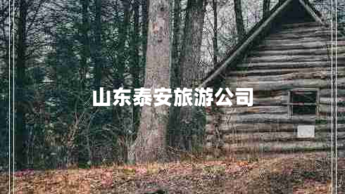 山東泰安旅游公司