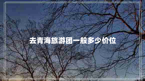 去青海旅游團一般多少價(jià)位