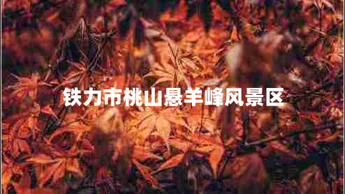 鐵力市桃山懸羊峰風(fēng)景區